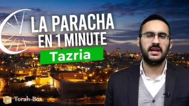 La Paracha en 1 minute - Tazria