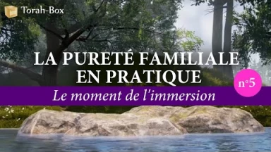 La Pureté Familiale en pratique (n°5) - Le moment de l'immersion