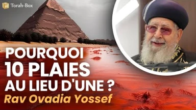 Quand Rav Ovadia Yossef nous explique pourquoi 10 plaies au lieu d'une