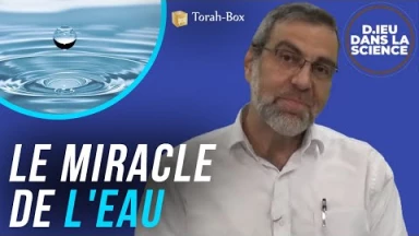 D.ieu dans la Science ! Le miracle de l'eau