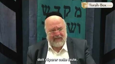 La Paracha Béhar - Lag Ba'omer avec Rav Rosenblum