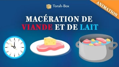 Mélanges lait/viande : Macération de viande et de lait