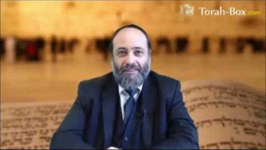 [Vidéo] Pourquoi certains ne touchent pas le Kotel ?