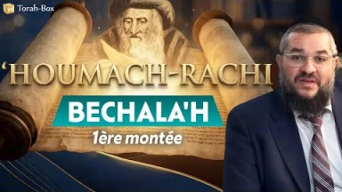 ‘Houmach - Rachi - 1ère montée - Paracha Béchala'h