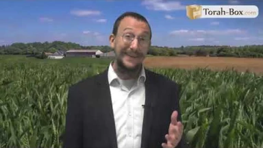 Eloul : Le roi est dans les champs