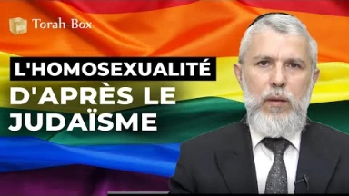 [Vidéo] Traiter l'homosexualité d'après le Judaïsme