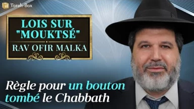 Lois sur Mouktsé - Règle pour un bouton tombé le Chabbath