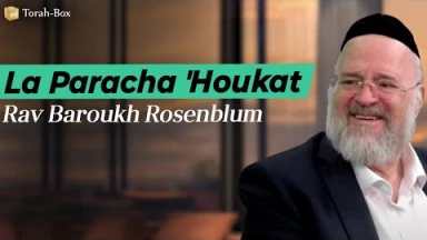 La Paracha Houkat avec Rav Rosenblum