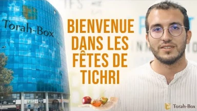 Bienvenue dans les Fêtes de Tichri ⚖️🍋🥳