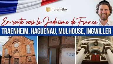 En route vers le Judaïsme de France ✡️ Traenheim, Haguenau, Mulhouse, Ingwiller