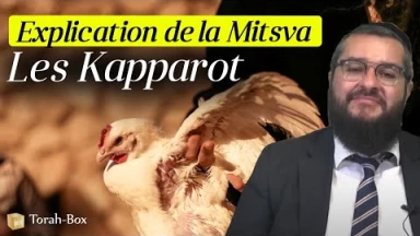 Explication de la Coutume des Kapparot