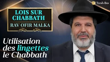 Lois sur Chabbath - Utilisation des lingettes le Chabbath