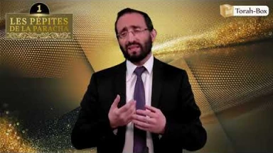 Les 3 Pépites de la Paracha Pin’has