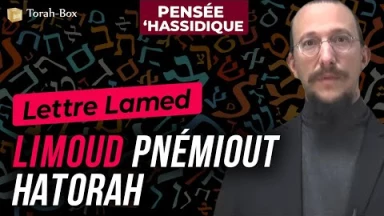 Lettre Lamed : Limoud pnémiout haTorah