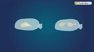 Mélanges lait/viande : Fours et Micro-ondes