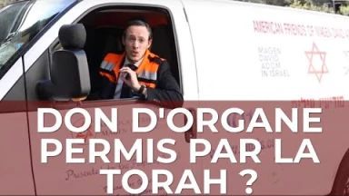 Torah-Tabou : Le don d'organes, permis par la Torah ?!