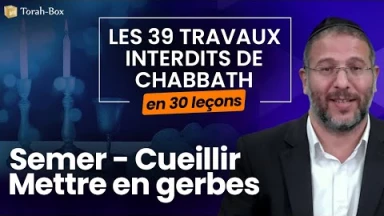 Les 39 travaux interdits le Chabbath en 30 leçons - web-formation facile - N°2 : Semer - Cueillir - Mettre en gerbes