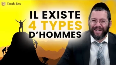Il existe 4 types d’hommes