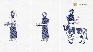 Draw My Paracha : Ekev