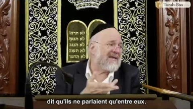 La Paracha Ki-Tetsé avec Rav Rosenblum