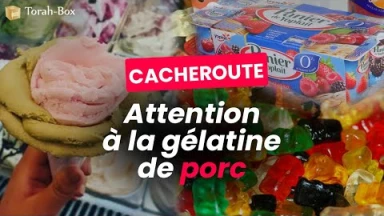 [Vidéo] Cacheroute : attention à la Gélatine de Porc dissimulée...