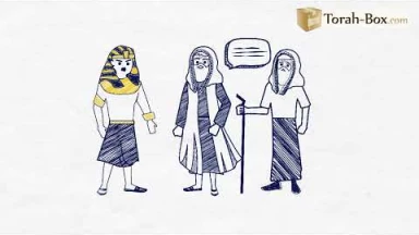 Draw My Paracha : Bo