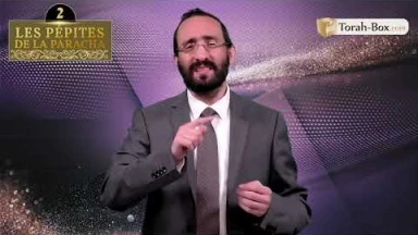 Les 3 Pépites de la Paracha Chémini