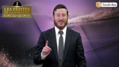 Les 3 Pépites de la Paracha Nasso