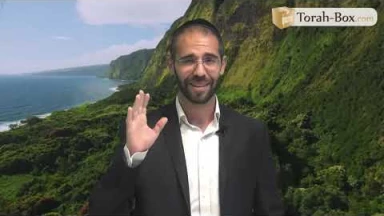 Vision 'Hassidique de la Paracha - Ki-Tetsé