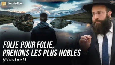 Folie pour folie, prenons les plus nobles (Flaubert)