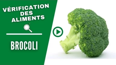 Vérification des aliments : le Brocoli