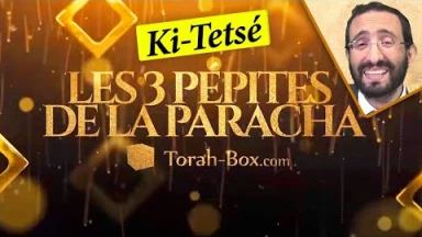 Les 3 Pépites de la Paracha Ki-Tetsé