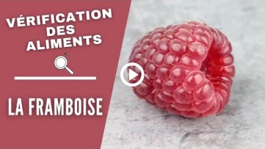 Vérification des aliments : Les framboises