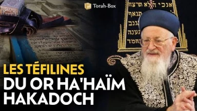 Les Téfilines du Or Ha'haïm Hakadoch