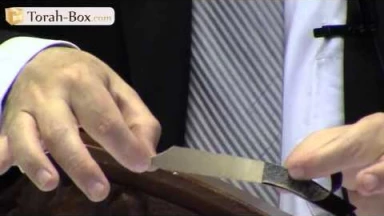 [Vidéo] Le Scandale des Téfilines pas Cachères