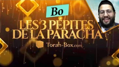 Les 3 Pépites de la Paracha Bo