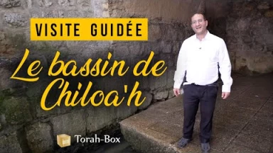 Exclusif : visite guidée du bassin du Chiloa'h avec Dan Lévy