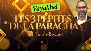 Les 3 Pépites de la Paracha Vayakhel