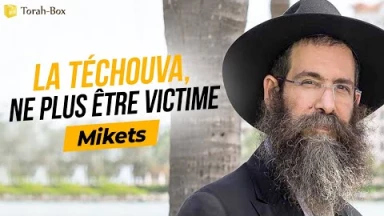 Le Message de la Paracha - Mikets : La Téchouva, ne plus être victime