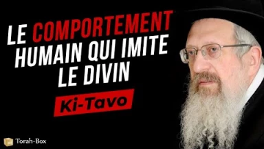 Le Message de la Paracha Ki-Tavo : Le comportement humain qui imite le Divin