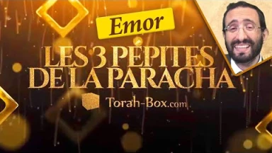 Les 3 pépites de la Paracha Emor