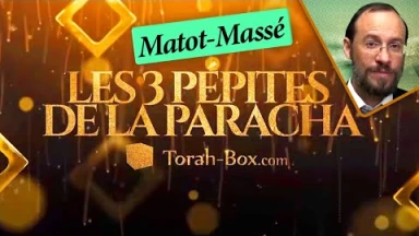 Les 3 Pépites de la Paracha Matot-Massé