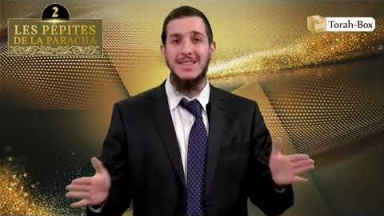 Les 3 Pépites de la Paracha Bo