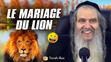 [Vidéo] Le mariage du lion : une blague du Rav Arouch !