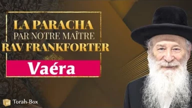 Vaéra : Salut de l'Exode par bonté et vérité