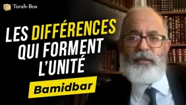Le Message de la Paracha - Bamidbar : Les différences qui forment l’unité