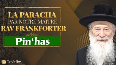 Pin'has : Bonheur de l'héroïsme sacré