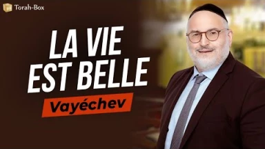 Le Message de la Paracha - Vayéchev : La vie est belle