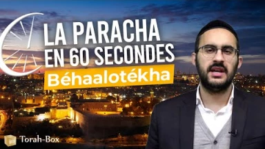 La Paracha en 60 secondes - Béhaalotékha