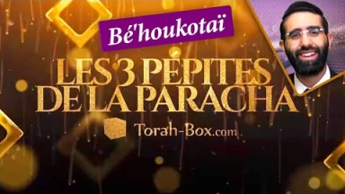 Les 3 Pépites de la Paracha Bé'houkotaï